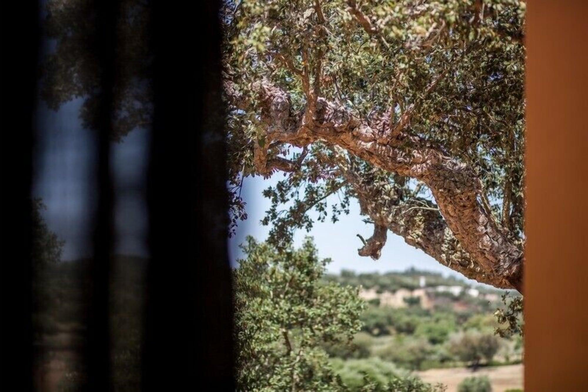 Monte Da Esperanca Villa Esperanca  Buitenkant foto