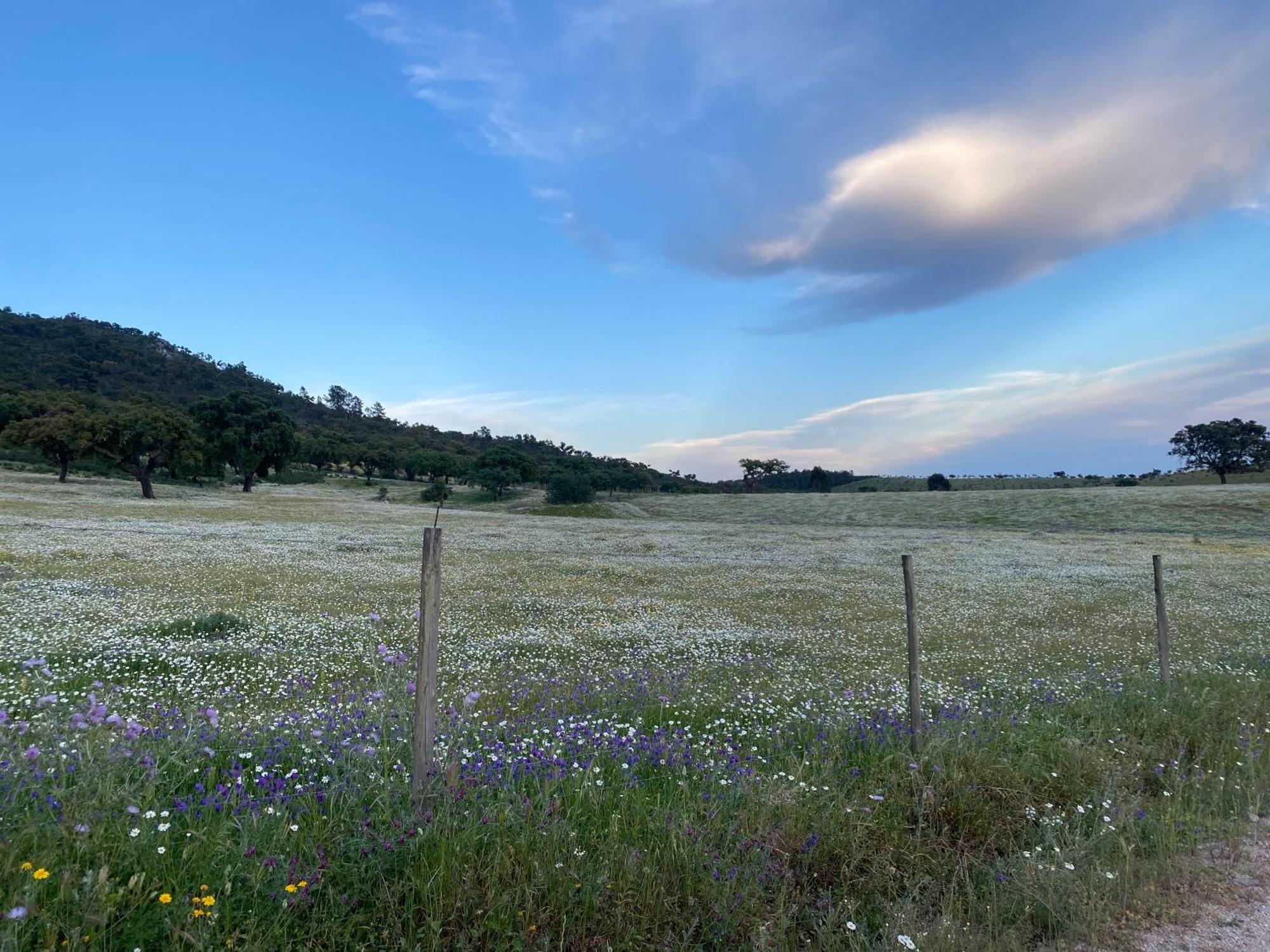 Monte Da Esperanca Villa Esperanca  Buitenkant foto