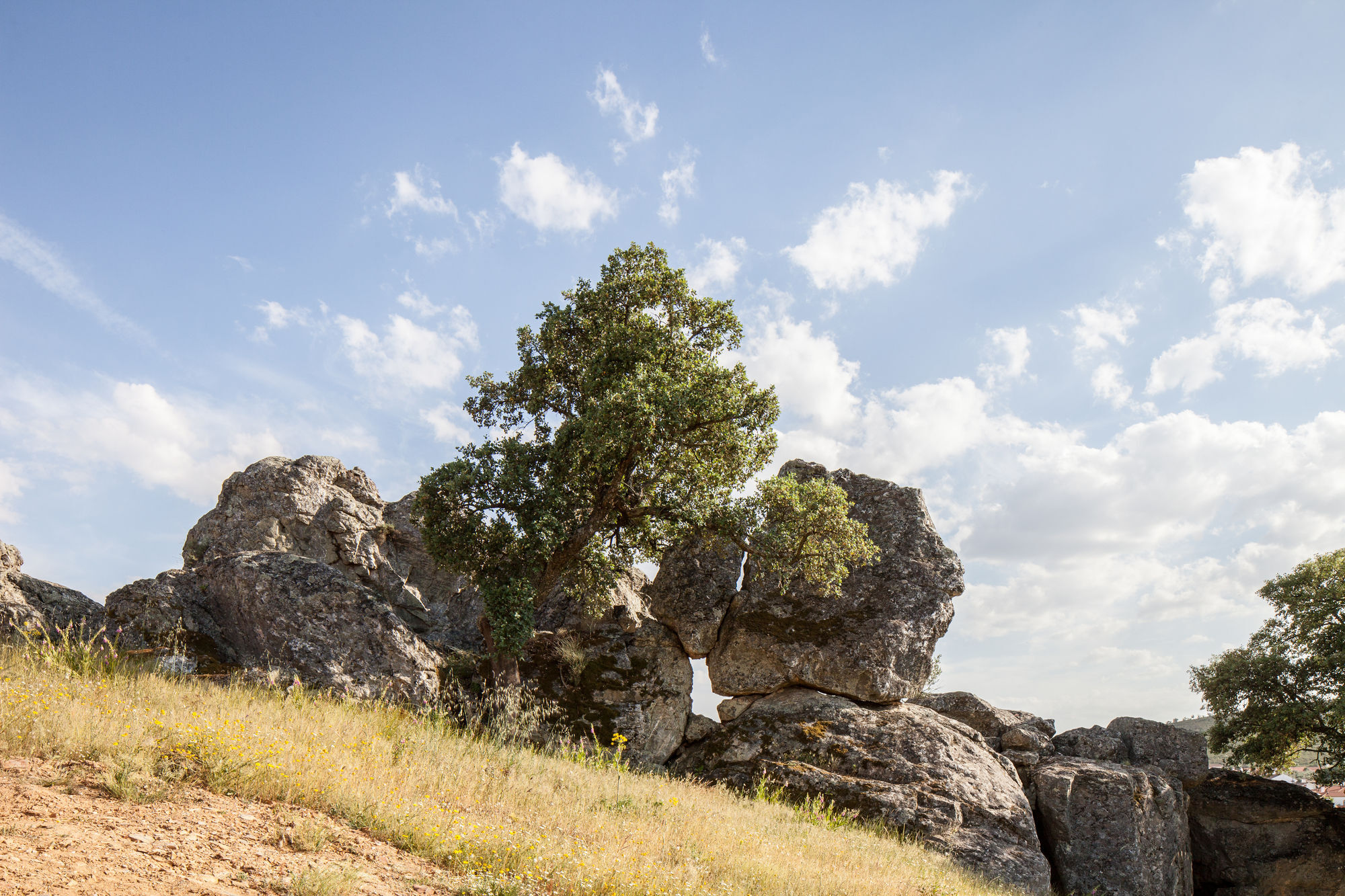 Monte Da Esperanca Villa Esperanca  Buitenkant foto